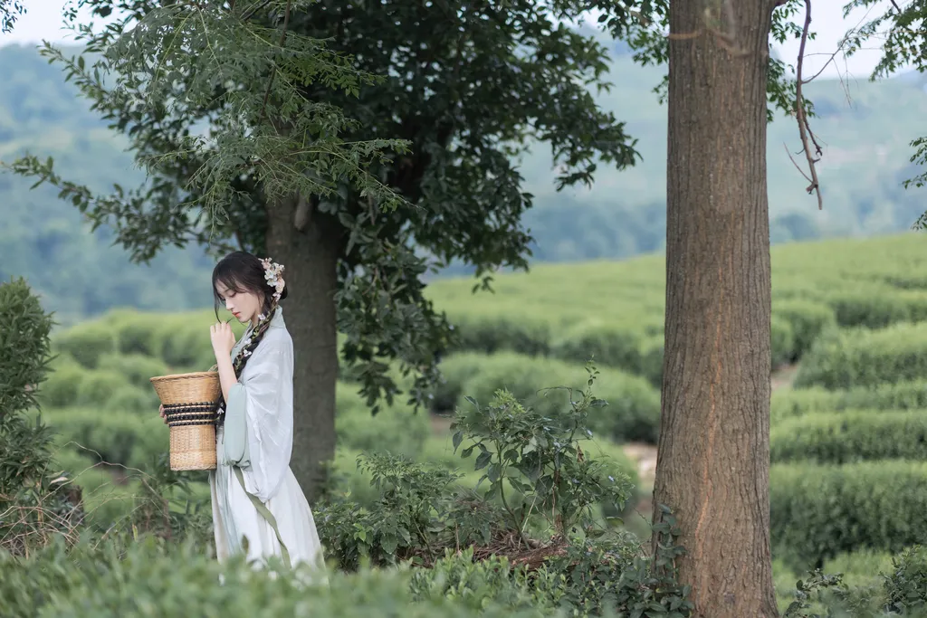 图片[41]-[YITUYU艺图语]2022.11.10 采茶纪 方莛玉[53+1P] – 速更版-美库