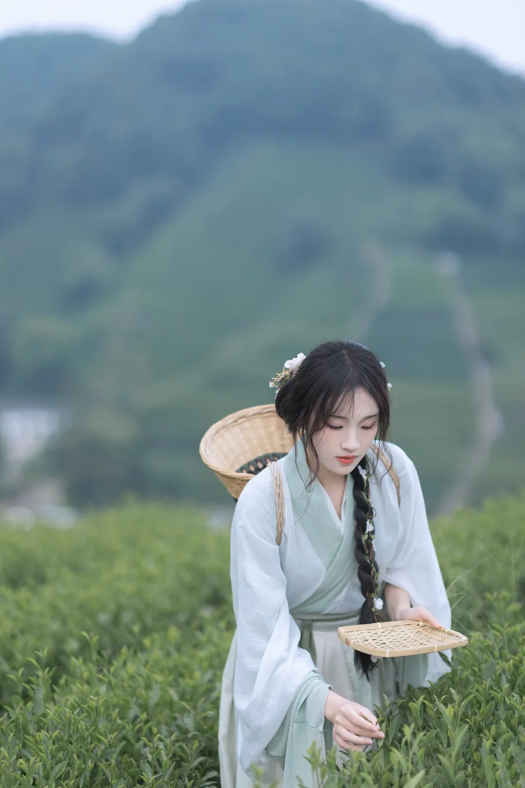 图片[42]-[YITUYU艺图语]2022.11.10 采茶纪 方莛玉[53+1P] – 速更版-美库