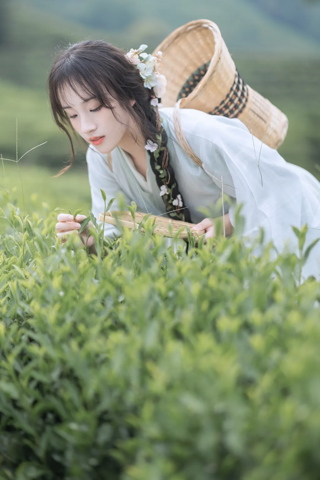 图片[44]-[YITUYU艺图语]2022.11.10 采茶纪 方莛玉[53+1P] – 速更版-美库