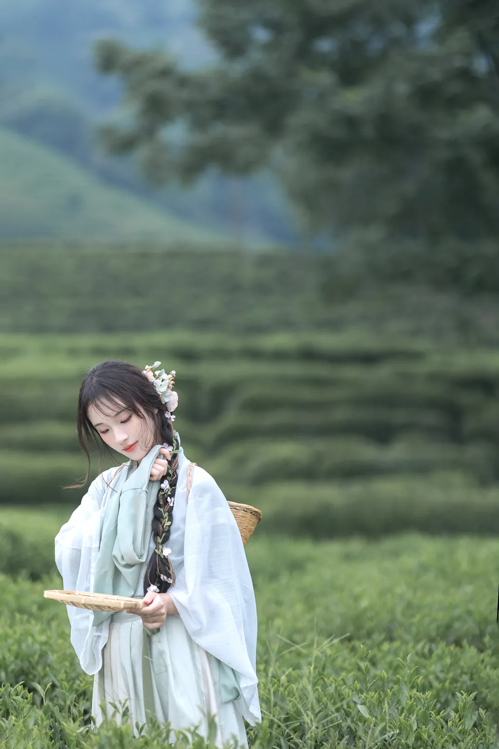 图片[55]-[YITUYU艺图语]2022.11.10 采茶纪 方莛玉[53+1P] – 速更版-美库