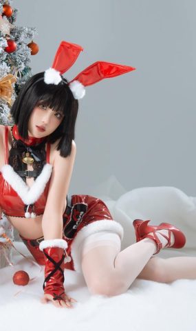 瓦斯塔亚小龙虾  圣诞礼物兔兔[5P]