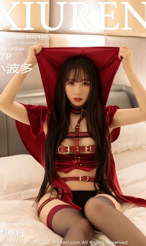 [XR绣人网]2022.02.18 NO.4602 小波多[47+1P]