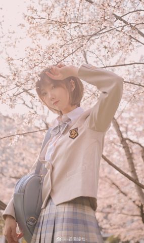 名濑弥七 – 樱花[14P]