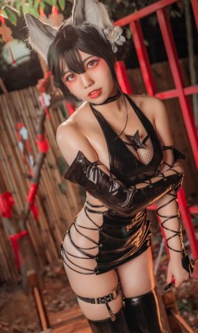 啊日日_Ganlory  – 忍者喵喵[8P]