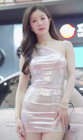 NO.0674 2023 苏州GTSHOW改装车展 Auto Salon Racing Model 65[20P]