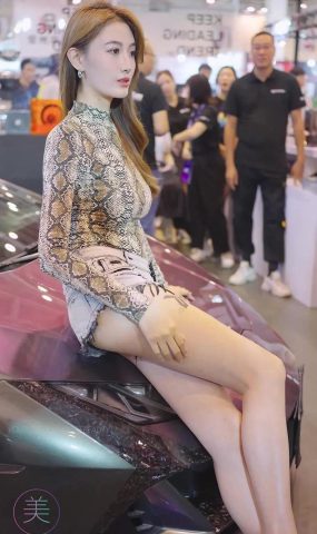 NO.0675 2023 苏州GTSHOW改装车展 Auto Salon Racing Model 66[20P]