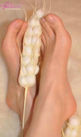 Fannie芬妮每足园 No.577 玉趾如蚕向花语2[73P]