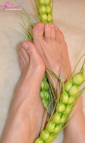 Fannie芬妮每足园 No.579 玉趾如蚕向花语4[95P]