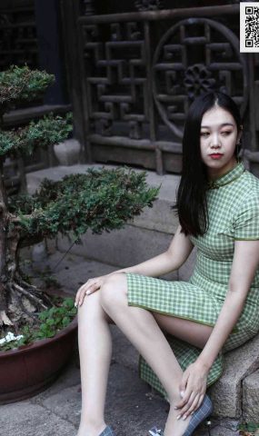 [奈丝写真] NO.151 乐乐 修长美腿配肉丝 在现浏览