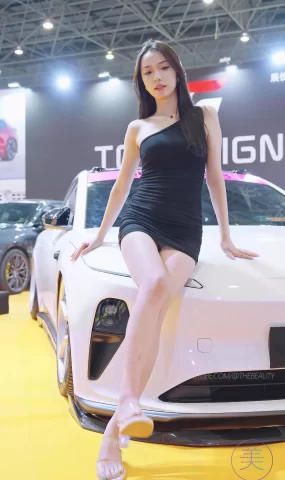 NO.0371 2023 东莞AIT改装车展 Auto Salon Racing Model 12[20P]
