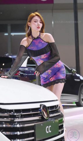 NO.1132 2024 深圳粤港澳大湾区车展 Model 车模随拍 13[20P]
