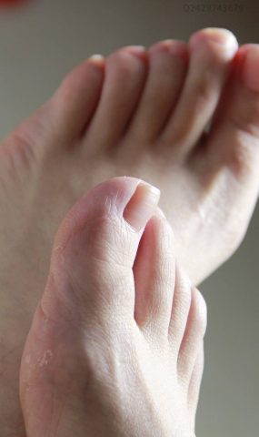 鱼鱼足影@033-第33期：江南西西[55P]