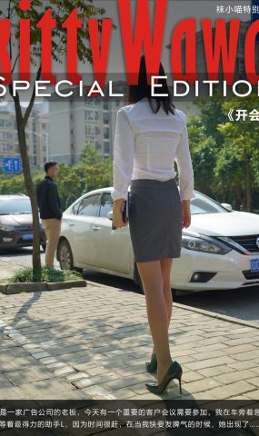 [kittyWawa袜小喵故事集]KTS005 开会