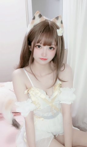 千阳(ちよ) – 三花猫[12P]