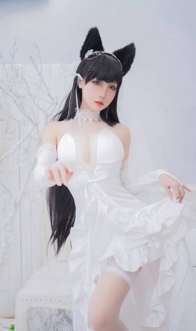 焖焖碳  爱宕花嫁[12P]