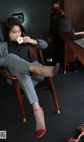 [SJA佳爷] 新刊 SJA010《毒》[67P]