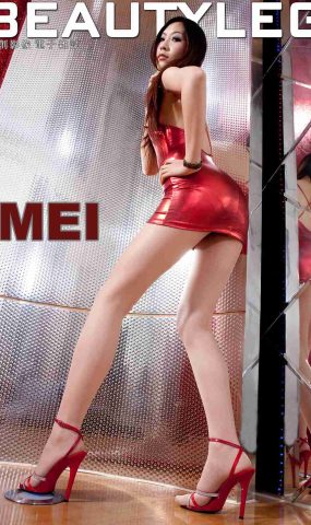 [BeautyLeg] No.398 Mei 在现浏览