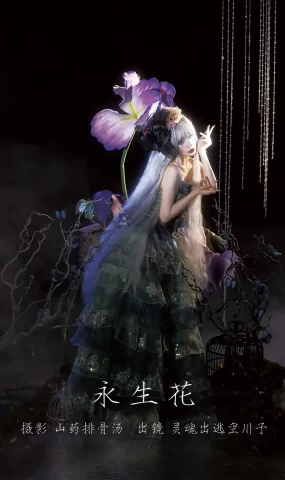 [YITUYU艺图语]2023.02.22 永生花 灵魂出逃空川子[21+1P]