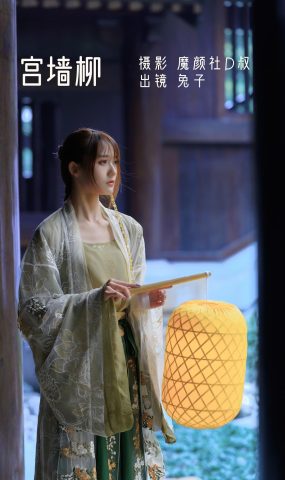 人气Coser@兔子Zzz不吃胡萝卜 宫墙柳[43P]