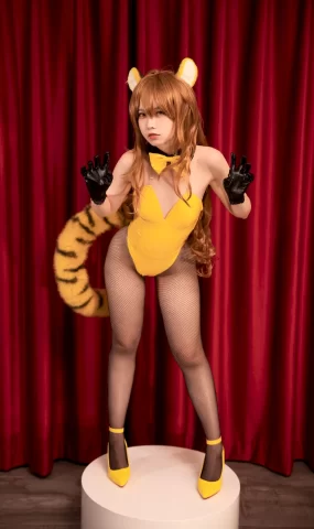 G44不会受伤 NO.158 – Aisaka Taiga 虎虎出虎虎[36P]
