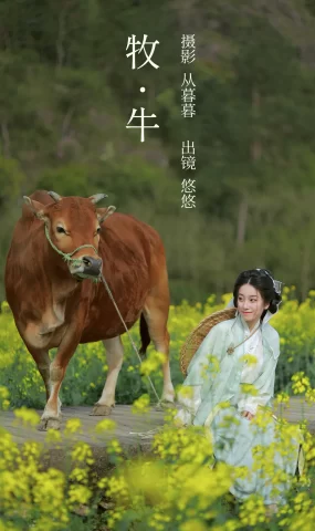 [YITUYU艺图语]2023.02.25 牧牛 小清菡呀[21+1P]