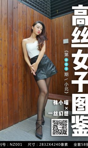 [高丝女子图鉴]袜小喵×一丝幻想 NZ001 小北