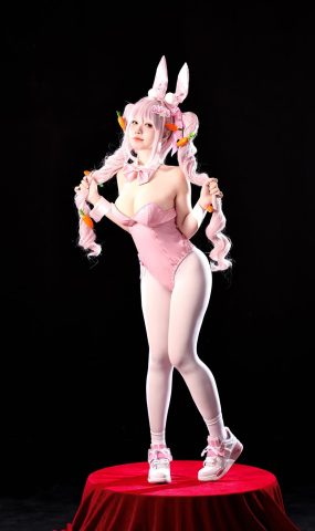 G44不会受伤  – 爱丽丝兔女郎[15P]