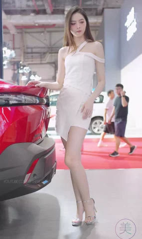 NO.0422 2023 东莞秋季车展 Racing Model Citroen车模04[20P]