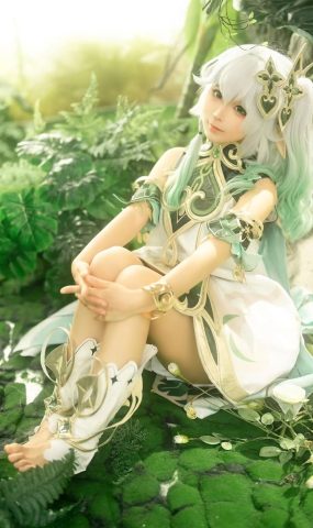 蠢沫沫  大慈树王[16P]