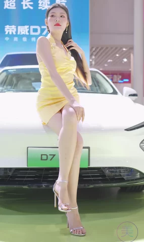 NO.0428 2023 东莞秋季车展 Racing Model ROEWE车模01[20P]