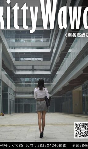 [kittyWawa袜小喵] KT085《高级商务灰》 在现浏览