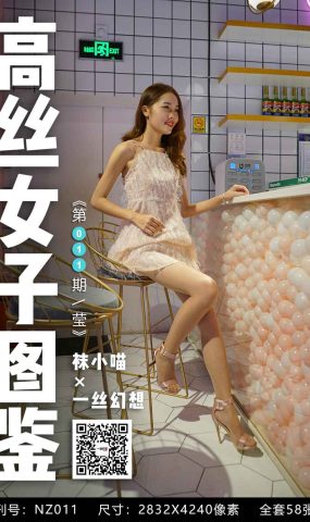 [高丝女子图鉴] 袜小喵×一丝幻想 NZ011 莹 在现浏览