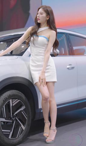 NO.1569 2024 广州车展 网荭美女车模 beautyleg LOOKBOOK 25[30P]