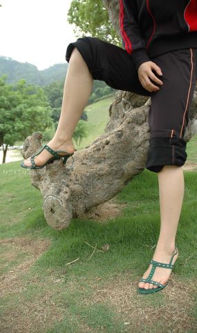 97179 NO.011-浪漫樱花大树下栖息[6P]