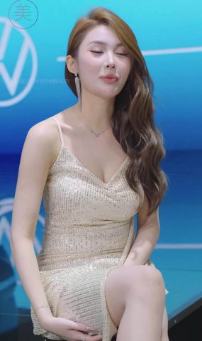 NO.1485 2024 深圳粤港澳大湾区车展 Model 车模随拍 132[30P]