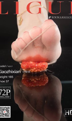 [Ligui丽柜]网络丽人 2021.05.05 Model《香丝盛宴》小智贤[72+1P]