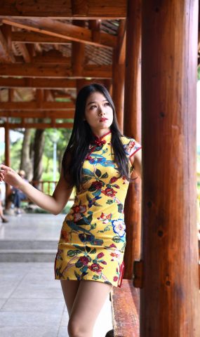 精选街拍作品 NO.1816 旗袍气质美女[100P]