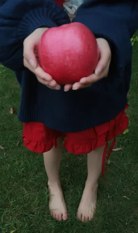 小羊蛋卷 013 毒苹果[14P]