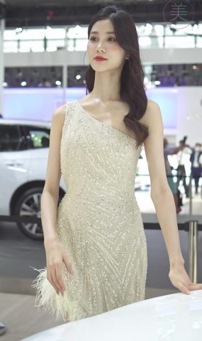 NO.0296 2021 深圳车展 Racing Model VOLVO车模02[20P]