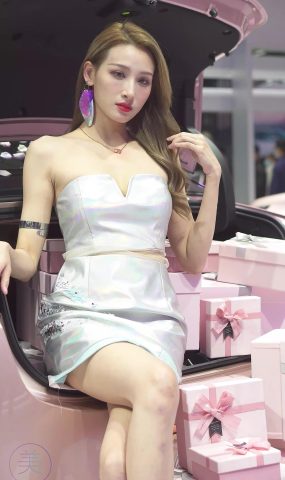 NO.0156 2021 广州车展 Racing Model AION车模01[20P]