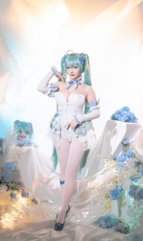 星之迟迟 – 初音未来 粉蝶花精灵[40P]