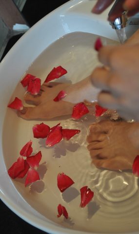 自由摄影 No.221 玫瑰带刺 [37P]