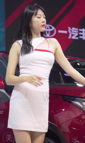 NO.0315 2021 深圳大湾区车展 Racing Model TOYOTA车模05[20P]