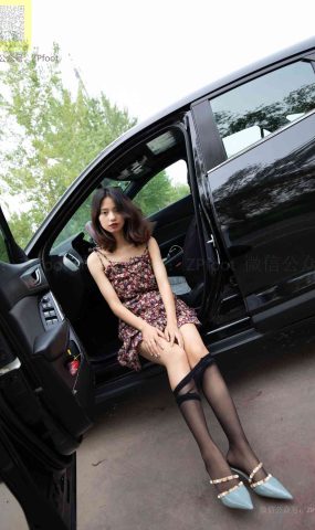 [LSS山茶摄影]NO.199 丝袜穿搭42[84P]