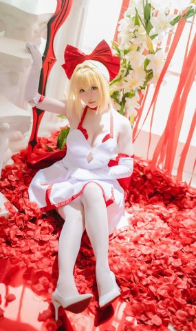 星之迟迟 – Fate 尼禄[39P]