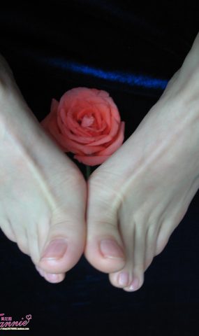 Fannie芬妮每足园 No.564 一个人的浪漫 落花寻梦[31P]