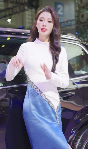 NO.0941 2023 深圳车展 Racing Model VOLVO车模01[20P]