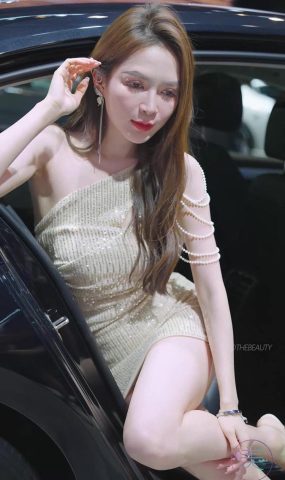 NO.1324 2024 深圳粤港澳大湾区车展 Model 车模随拍 118[20P]